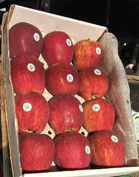 Apple Kinnor 